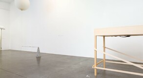 MENTOR SAM BARON WORK IMAGES