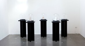 MENTOR SAM BARON WORK IMAGES