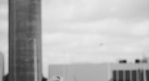 MENTOR SABINE MARCELIS WORK IMAGES