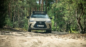 Lexus NX 2022