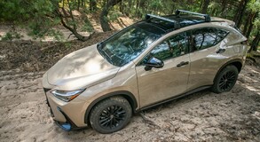 Lexus NX 2022