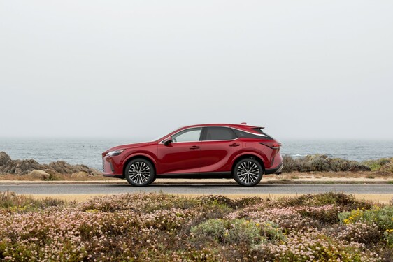 2023 RX 350h 