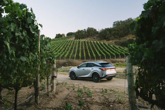 2023 RX 350h 