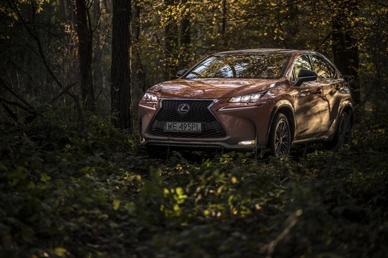 Lexus Driving Emotions 2017