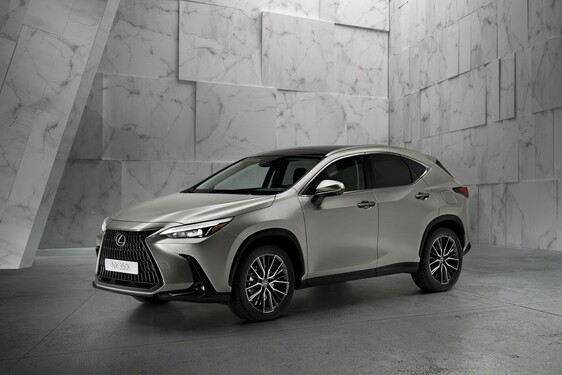 Lexus NX 2022