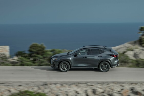 Lexus NX 2022
