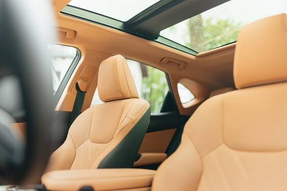 Lexus NX 2022