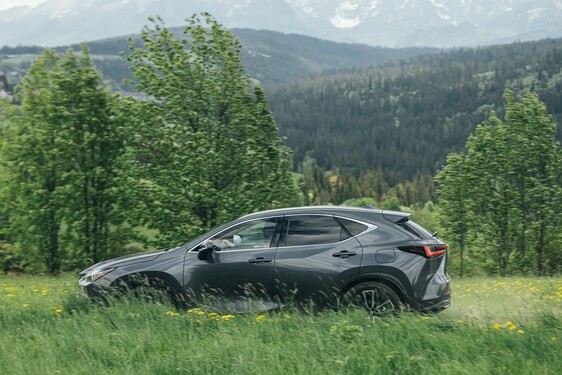 Lexus NX 2022