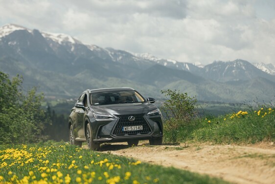 Lexus NX 2022