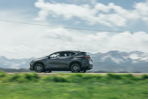 Lexus NX 2022