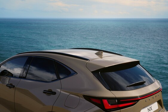 Lexus NX 2022